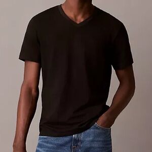 Calvin Klein Liquid Touch Classic V Neck T-Shirt Men  (L)